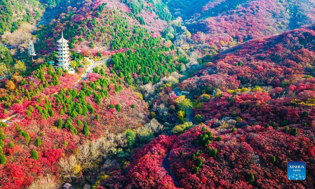Autumn scenery at scenic areas in Jinan, E China's Shandong