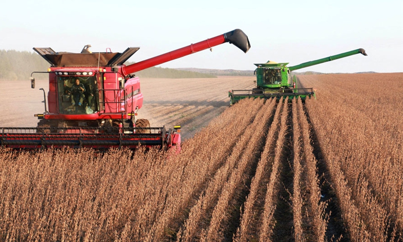 Soybeans are harvested in Heilongjiang province.File photo: Xinhua