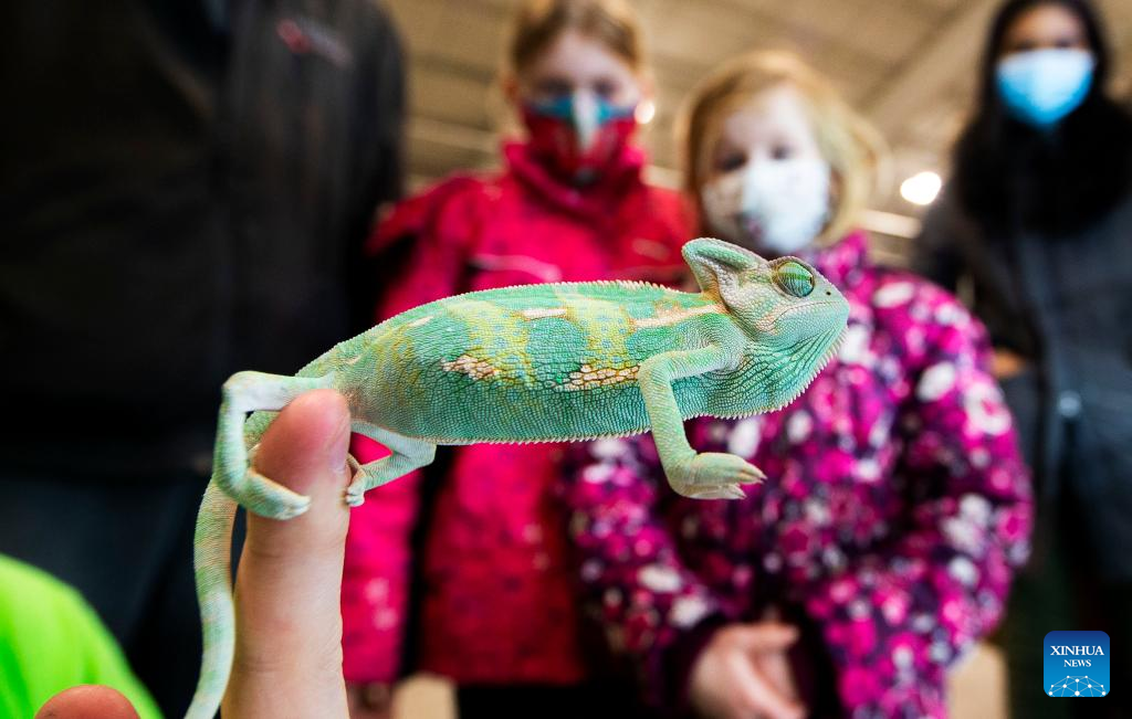 2022 Toronto Reptile Expo kicks off in Mississauga, Canada People's