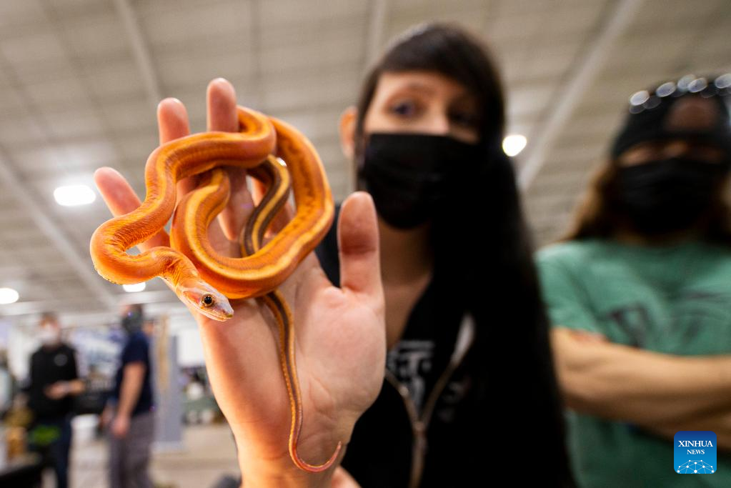 2022 Toronto Reptile Expo kicks off in Mississauga, Canada People's
