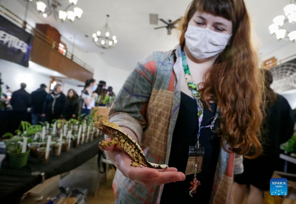 Highlights of 2022 Vancouver Reptile Expo People's Daily Online