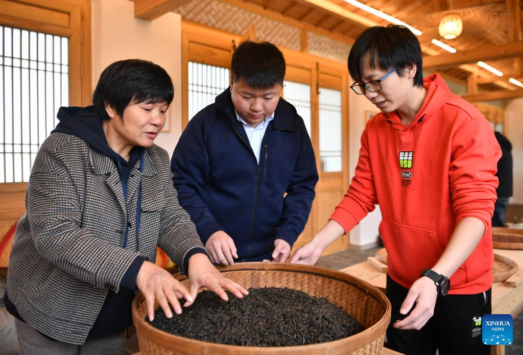 A glimpse of Wuyi rock tea in SE China's Fujian