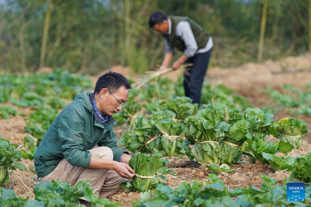 Young Chinese boost rural development