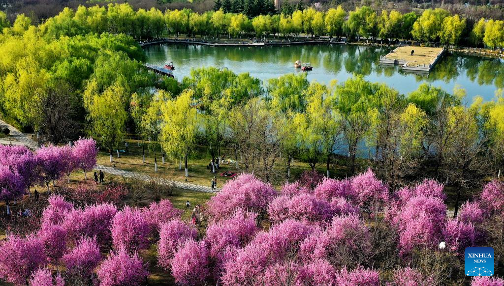 Spring scenery at Daming Palace National Heritage Park in NW China