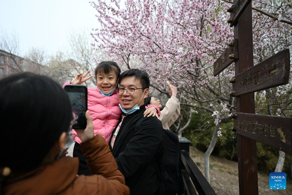 Tourists enjoy peach blossoms in N China