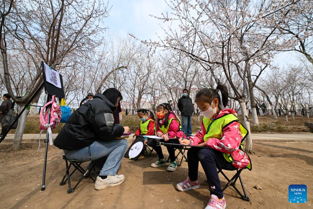 Tourists enjoy peach blossoms in N China's Tianjin