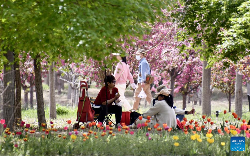 Tourists enjoy blooming flowers by Yongding River in Beijing
