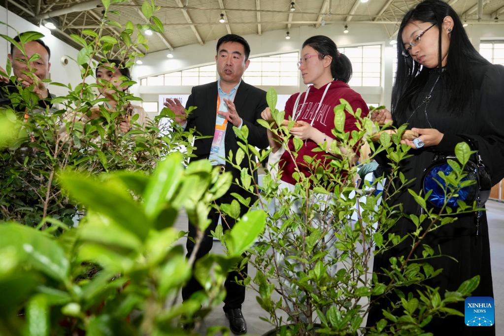 Beijing International Tea and Tea Ceremony Exhibition kicks off