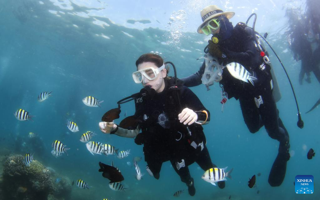 In pics: diving activity in waters of Fenjiezhou Island, S China