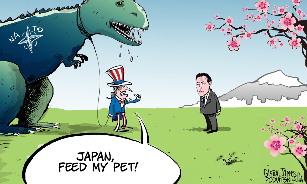 Japan, the first feeder of NATO in Asia. Cartoon: Vitaly Podvitski