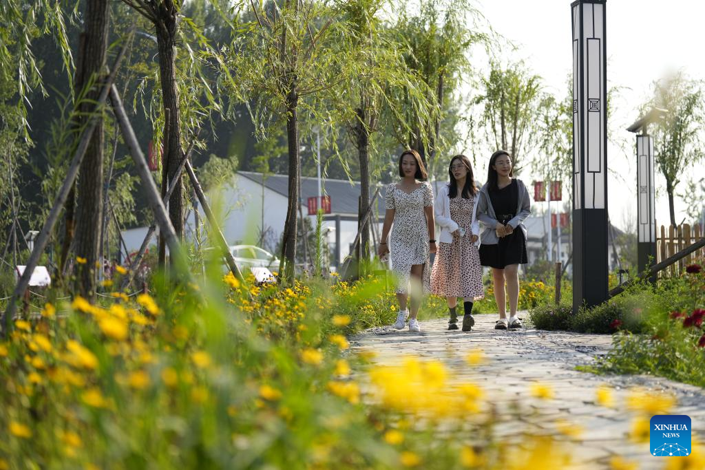 Improved rural living environment boosts rural revitalization in north China