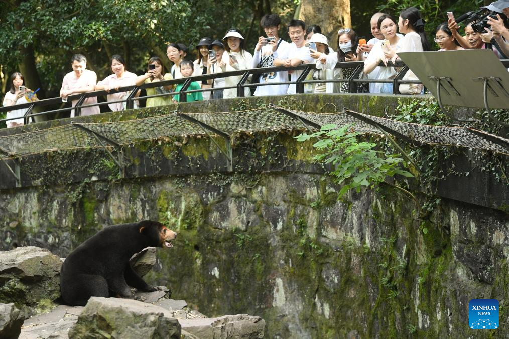 Sun Bears Attract Tourists At Hangzhou Zoo People s Daily Online