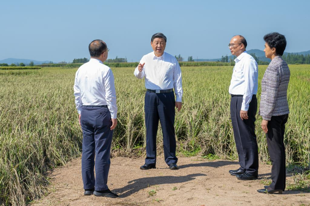 Xi visits flood