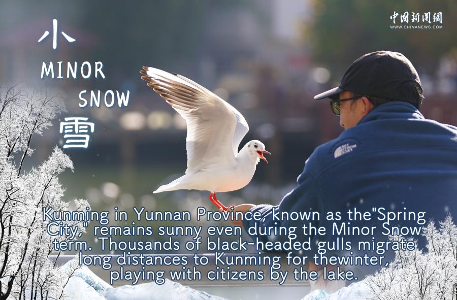 Culture Fact: Minor Snow