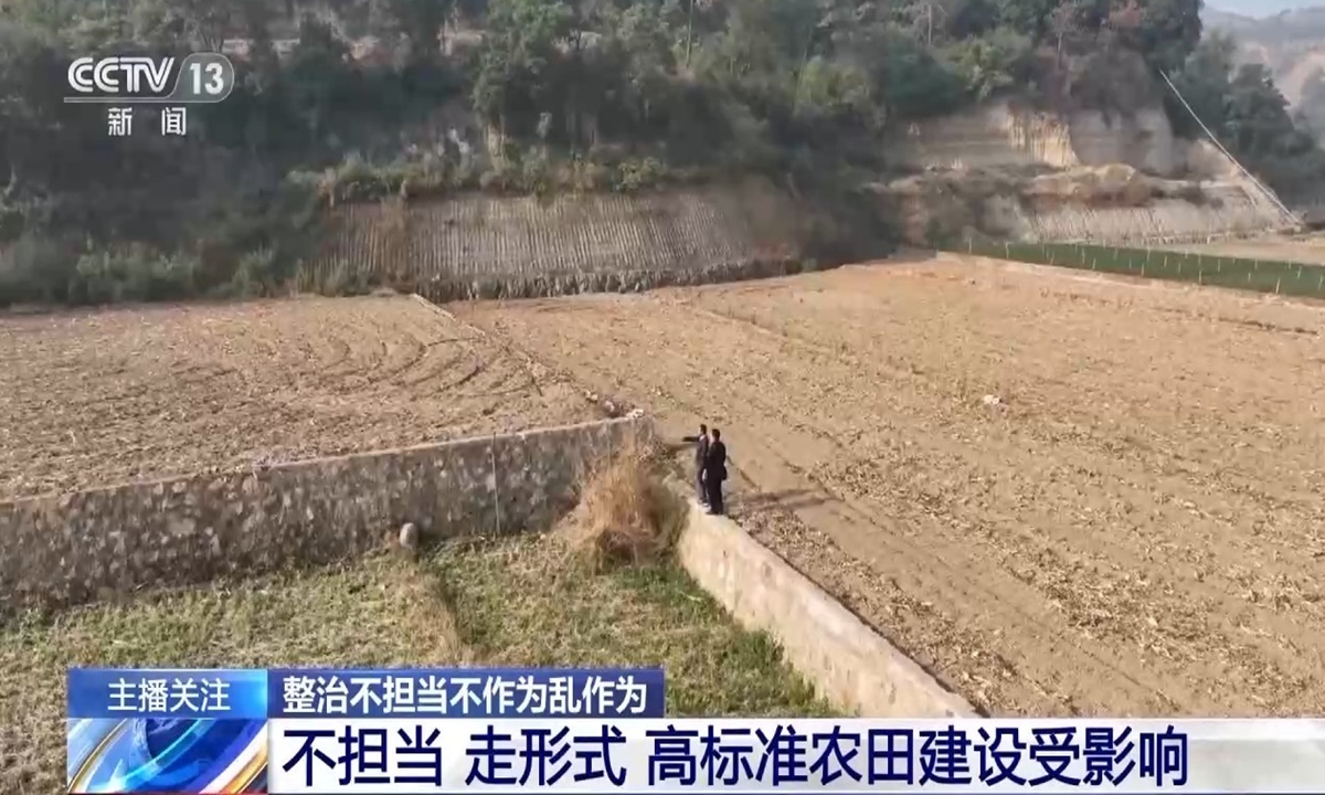 A CCTV screenshot showing the farmland with quality issues. Photo: CCTV