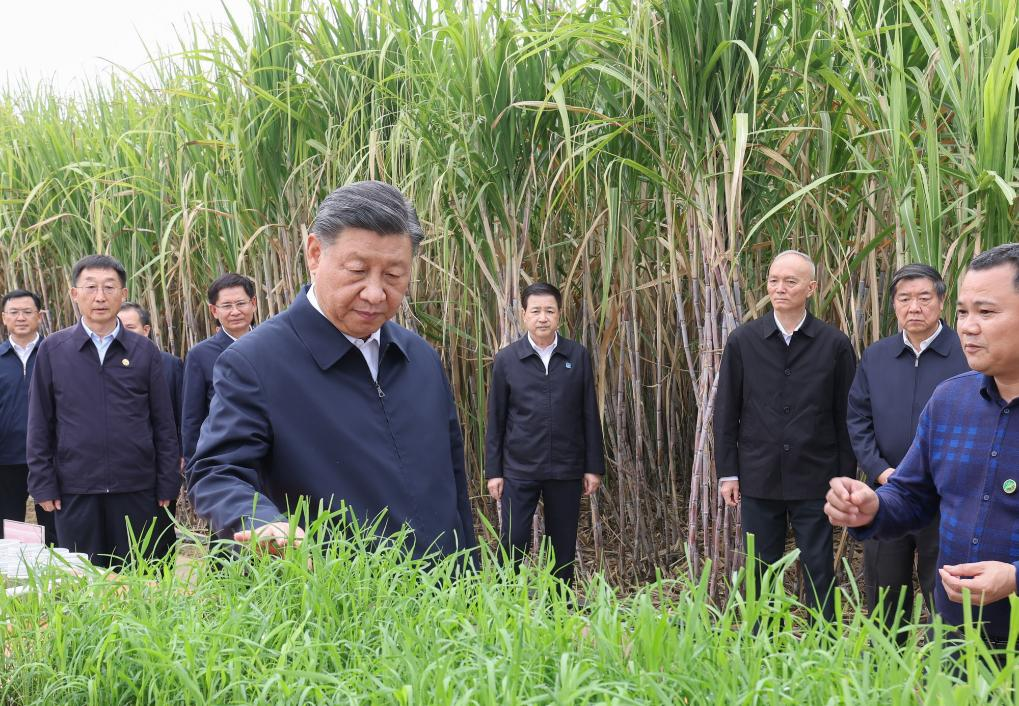 Xi inspects city of Laibin in south China's Guangxi