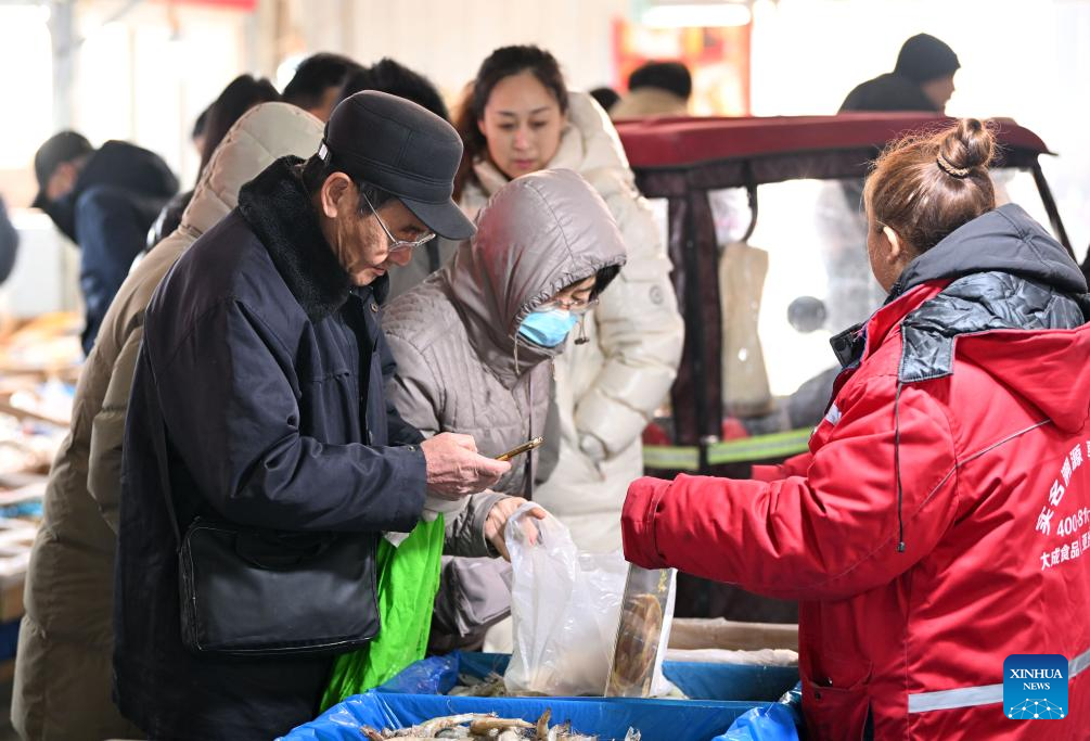 People prepare for upcoming Spring Festival in Tianjin