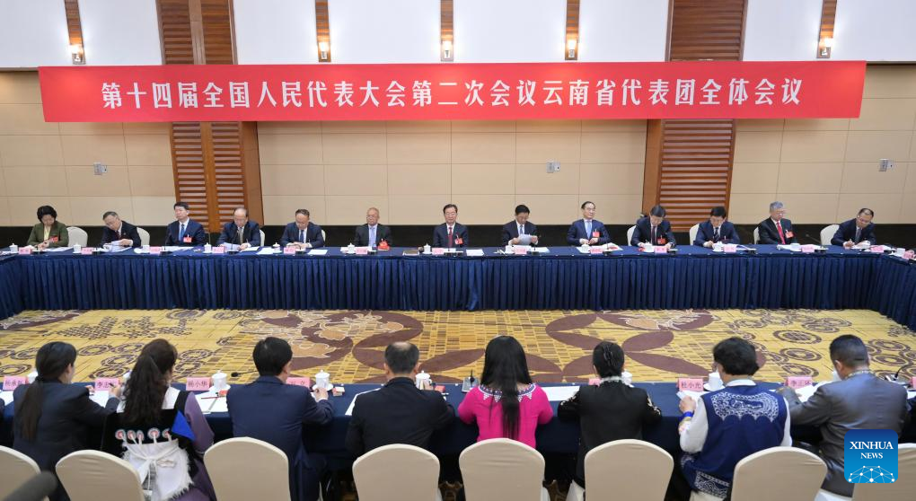 Group meeting of deputies from delegation of Yunnan Province held at 2nd session of 14th NPC