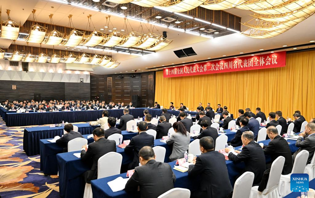 Group meeting of deputies from delegation of Sichuan Province held at 2nd session of 14th NPC