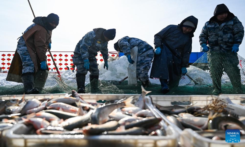 Staff members catch fishes at a fishery of Dalinor Lake in Chifeng City, north China's Inner Mongolia Autonomous Region, Jan. 13, 2024. A promotion event for tourism and winter fishing kicked off at the Dalinor Lake of Hexigten Banner in Chifeng. Featuring fishing, performance and other activities, this event attracted many tourists. (Xinhua/Liu Lei)