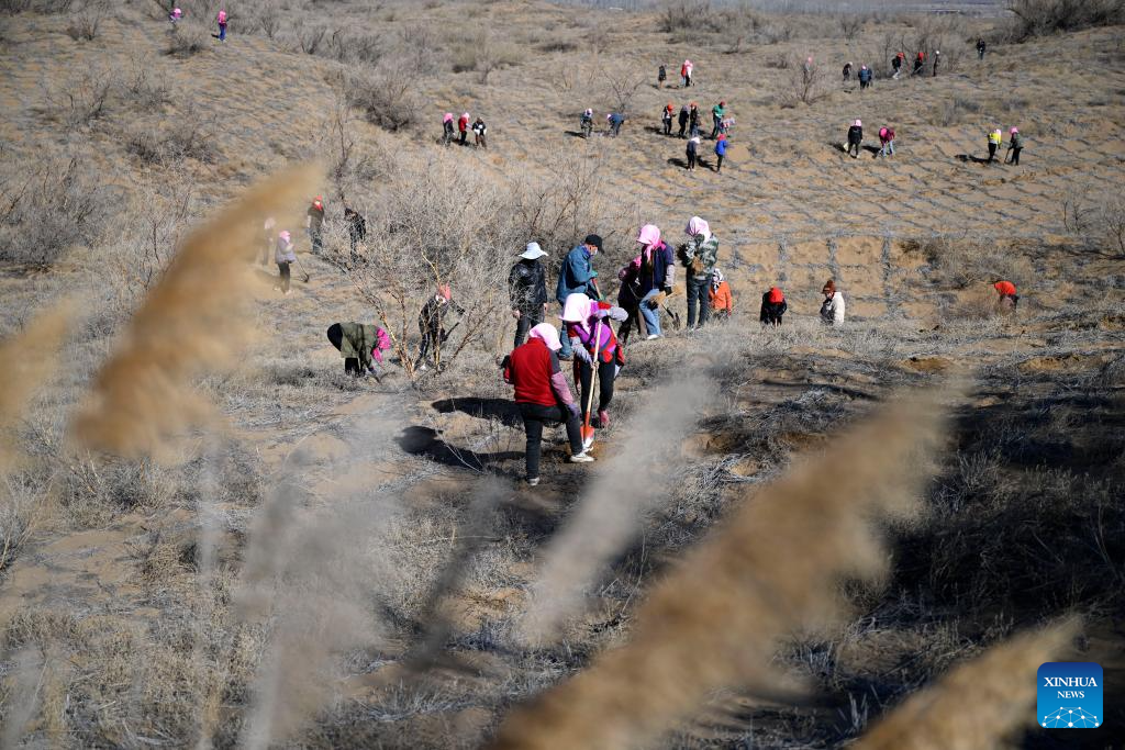 People fight desertification in Ningxia, NW China