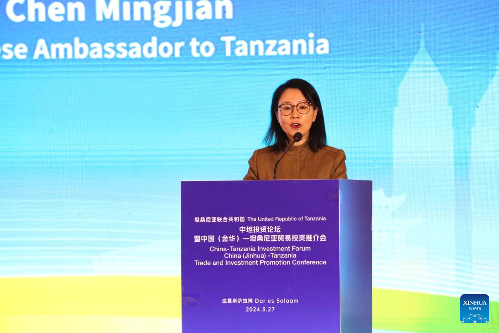 China emerges as leading source of foreign investment in Tanzania: officials