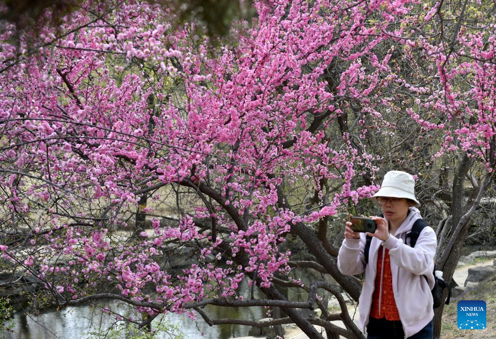 Tourists visit Yuanmingyuan Park in Beijing