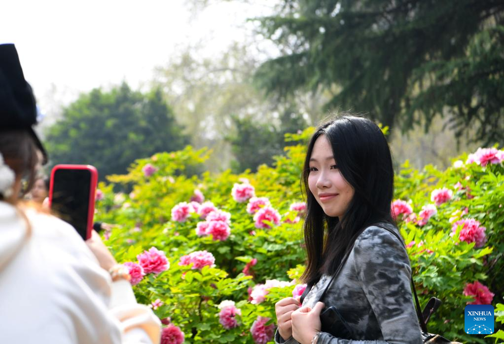 Tourists enjoy blossoming peony flowers in Luoyang, C China's Henan