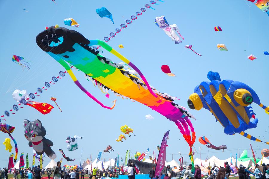 Annual kite gala kicks off in E China's Shandong