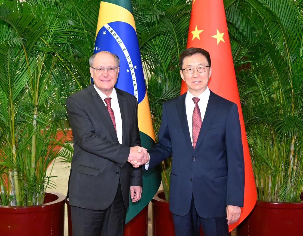 Vice-presidentes da China, Brasil Co-Presidente Reunião Gospan