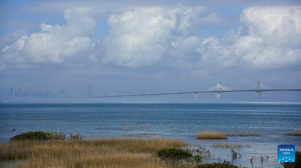 This photo taken on Feb. 21, 2024 shows the Kinmen bridge and a view of Xiamen in the distance seen from an estuary in Kinmen.(Photo: Xinhua)