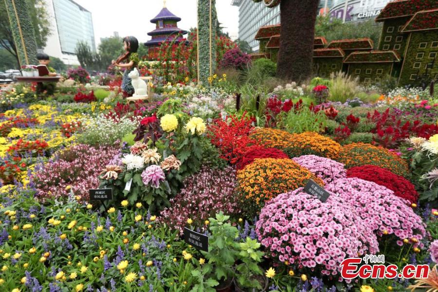 Special floral displays adorn Beijing for upcoming National Day