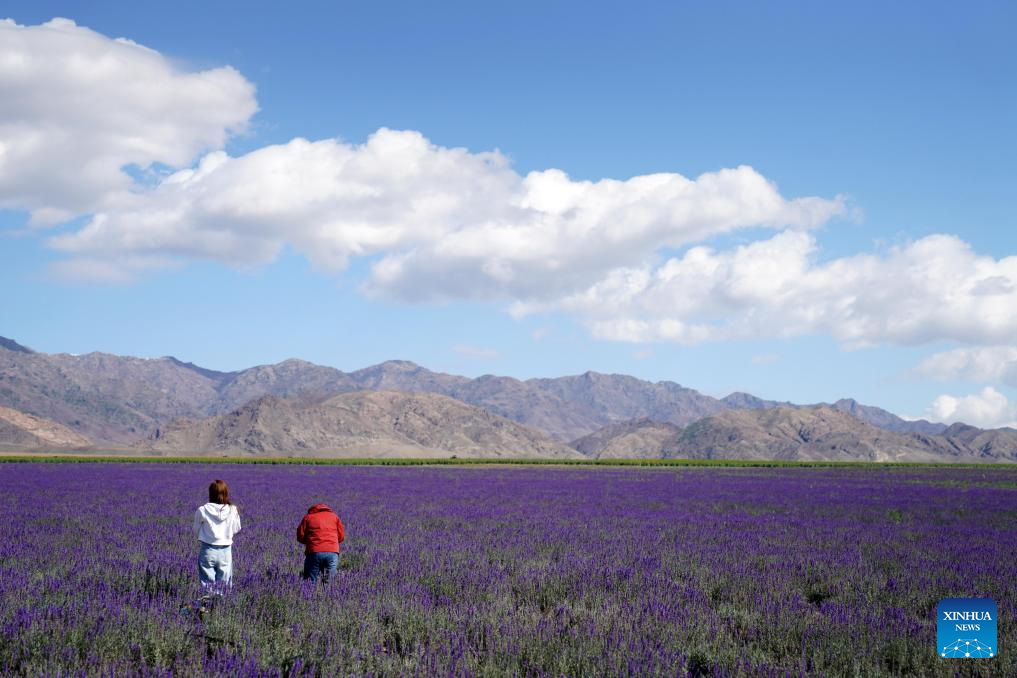 In pics: Tianshan Huahai national modern agricultural industrial park in Xinjiang