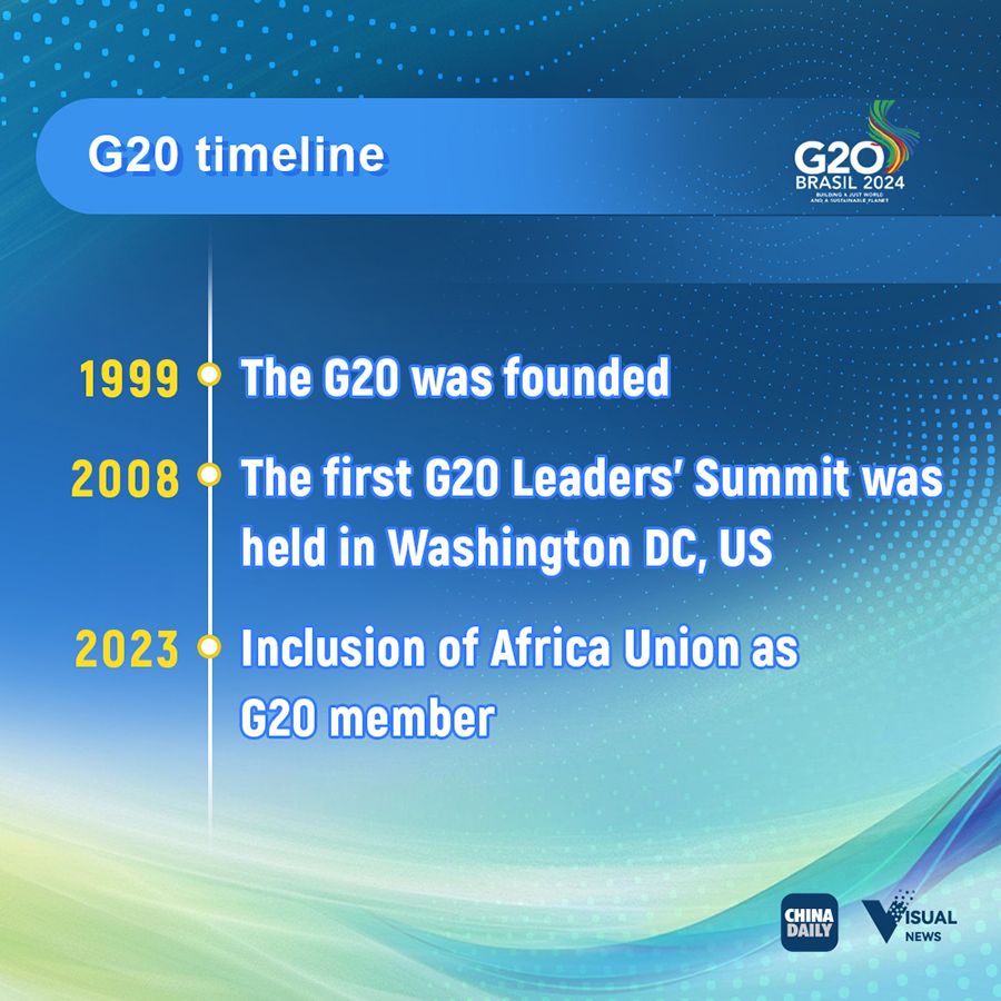 Infographics: G20 at a glance