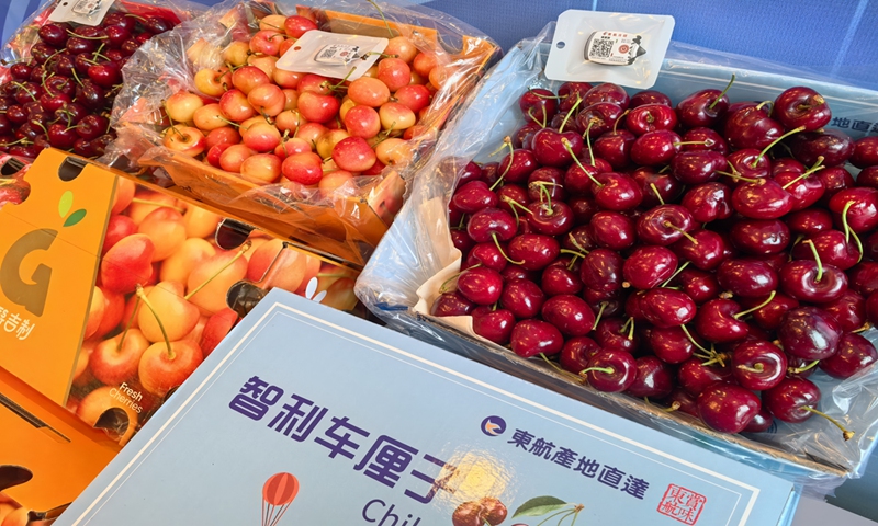 A freighter from China Eastern Air Logistics carrying fresh Chilean cherries arrives at Shanghai Pudong International Airport from Santiago, the capital of Chile on November 20, 2024. Photo: Courtesy of China Eastern Airlines 