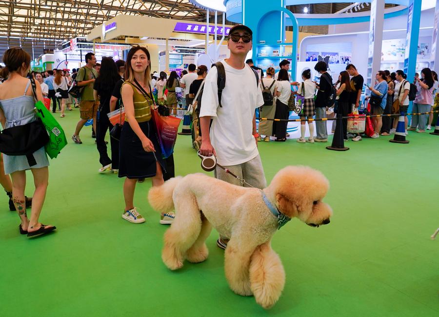 Genetic Testing: China’s New Way to Love Pets