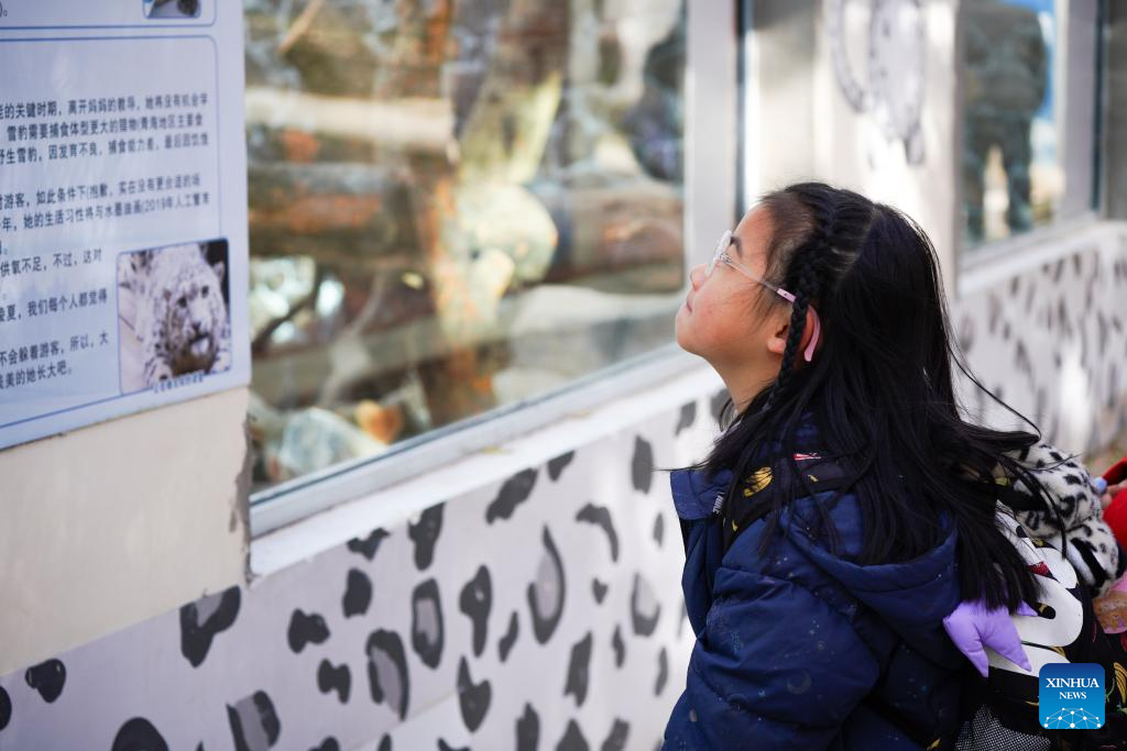 Leopard house at Xining Wildlife Park reopens after renovation