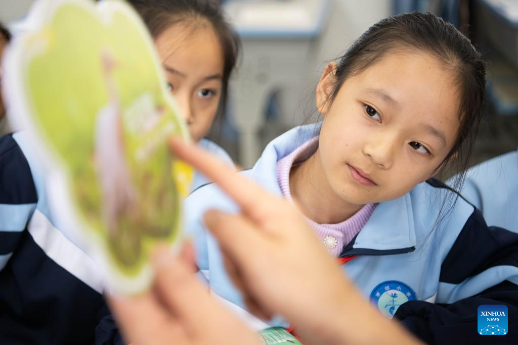 Primary school in China's Anhui integrates wetland protection education into daily teaching