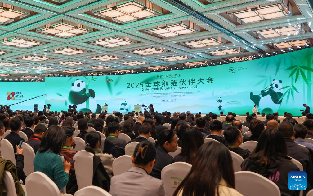 Panda-themed conference promotes global dialogue on ecological protection, green development