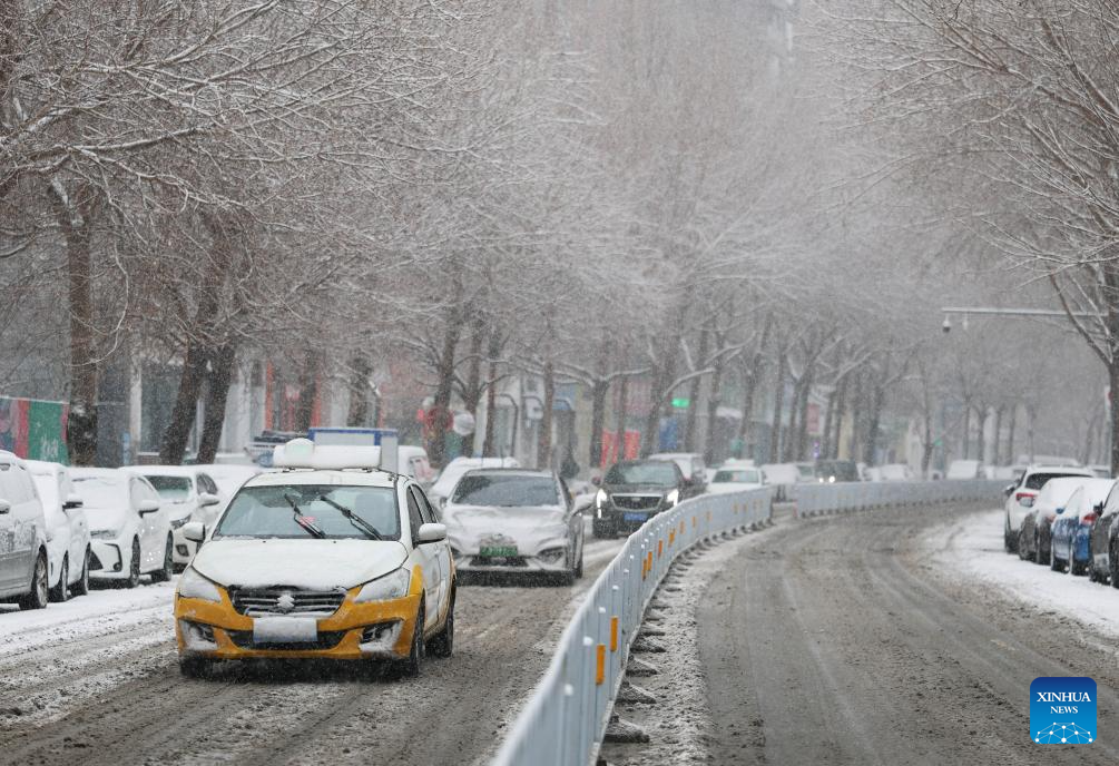 Snowfall hits Shenyang, NE China