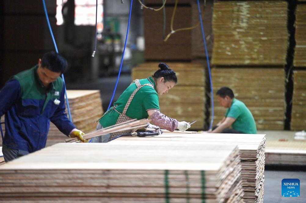 Chinese fir industry fuels rural revitalization in Rong'an, China's Guangxi