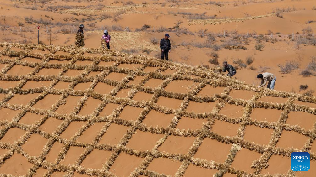 Workers upgrade desert barriers in Tengger Desert, China's Ningxia