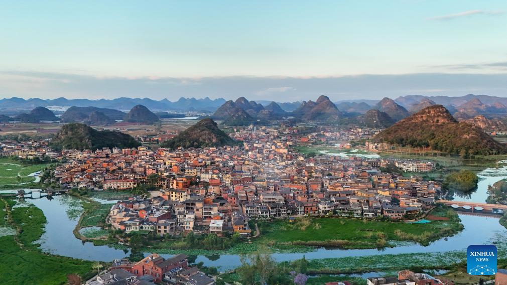 Bird diversity rises as ecology improves at Puzhehei scenic spot in China's Yunnan