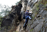 Villagers pick cubiloses on cliff in Sichuan