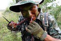 PLA soldiers eat raw snake meat in harsh training