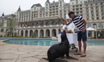 Chinese man throws birthday pool party for pet sea lion at luxury hotel
