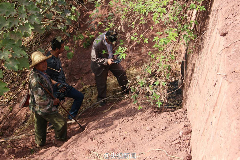 100-year-old boa saved and released into the wild by policemen in Yunnan
