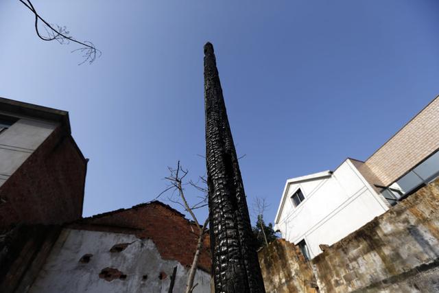 84-year-old father and 13-year-old son