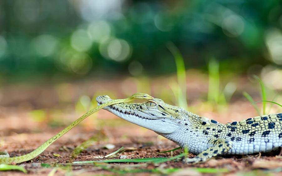 Thanks for the ride!