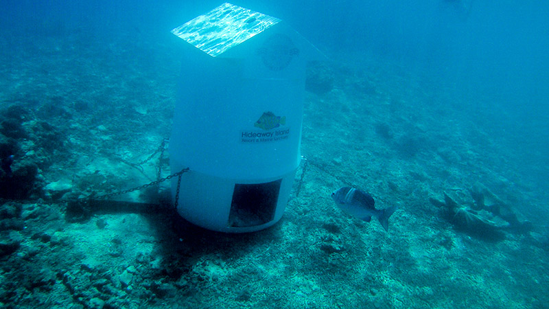 Mysterious Wonderland in South Pacific — The Republic of Vanuatu